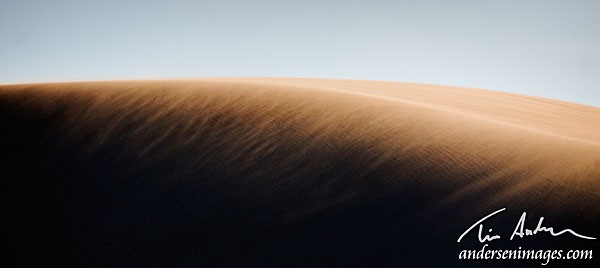 Featured Photo: Sandstorm